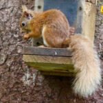 “Jezička greška”: Festival prirode pomiješali sa nudističkim događajem