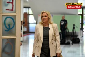 Borovinić Bojović ide u Vladu?