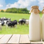 Mljekare “Nika” i “Lazine” i zvanično ne otkupljuju mlijeko