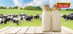 Mljekare “Nika” i “Lazine” i zvanično ne otkupljuju mlijeko