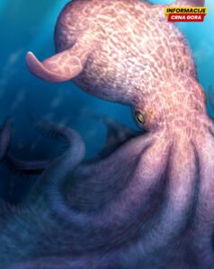 "Kredni Kraken" vrebao morima u doba dinosaurusa