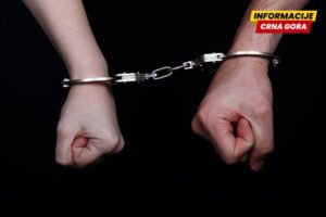 Uhapšeni Radević i Vuković Stojilović: Osumnjičeni da su mučili i…