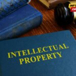 Ministarstvo: Crna Gora ostaje posvećena promovisanju i zaštiti…