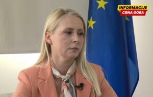 Braletić: ASK će gledati u sve satove, nezavisno od toga da li se nalaze na rukama funkcionera bivše ili sadašnje vlasti