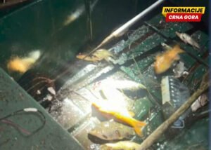 Krivolov na Skadarskom jezeru ne prestaje uprkos zabrani: Za tri meseca 37 prijava