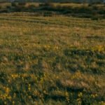 Andrijevica: Osumnjičenom da je prijetio sestri, sestričini i zetu…
