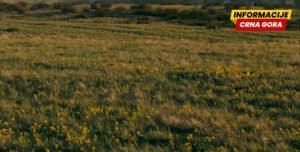 Andrijevica: Osumnjičenom da je prijetio sestri, sestričini i zetu...