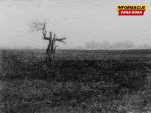 Nostalgija za stabilnošću svijeta