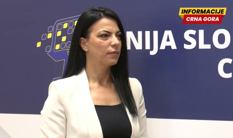 MIhajlović: Jučerašnje obraćanje Vlade potpuno neprihvatljo,...