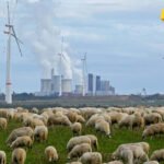 Koalicija voljnih u Kolumbiji: Kako napustiti naftu, gas i ugalj?