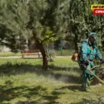 Zelenilo: Fokus na bržem košenju javnih zelenih površina