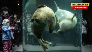 Nezapamćen zločin u Japanu: Bacio telo supruge u spalionicu zoološkog vrta