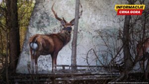 Četrdeset godina Černobilja – povratak u Pripjat