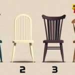 Test ličnosti: Kakva je vaša priroda kad vas niko ne gleda