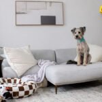 Udomljeni pas prvi put sam van kaveza, ljudi plaču zbog onoga što je učinio