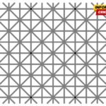 Vizuelna prevara koja je zbunila milione – gdje nestaju tačkice?