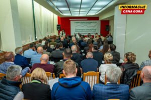 Durmitorska inicijativa: Vuković reizabran za predsjednika Glavnog odbora, Žugić na čelu Izvršnog odbora i politički direktor pokreta