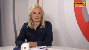 Đurović: Vanredni izbori usporili bi evropski put Crne Gore