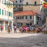 STEGA, UBNOR i antifašisti traže odobrenje za proslavu Dana nezavisnosti u Herceg Novom