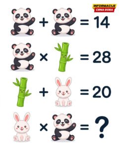 Mozgalica koja izgleda jednostavno, ali skriva zamku koju mnogi ne primijete