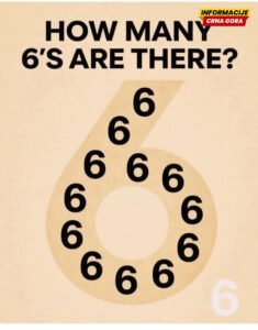 Koliko puta vidite broj šest? Ova slika je zbunila hiljade ljudi