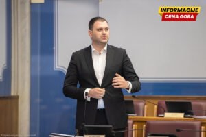 Anđušić: Prihvaćena inicijativa za kontrolno saslušanje zbog stanja u EPCG