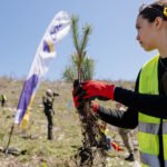 Nastavljeno najveće korporativno pošumljavanje u Crnoj Gori: One tim sa izviđačima na planini Vojnik