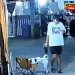 Ponekad je život jednostavan, samo voliš