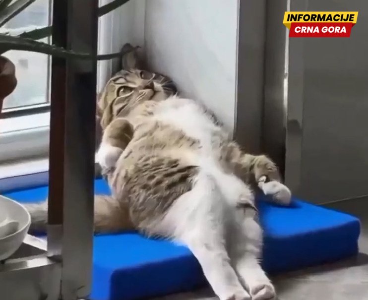 Promišljanja o životu