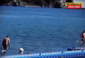 Gracioznost i vještina polijetanja