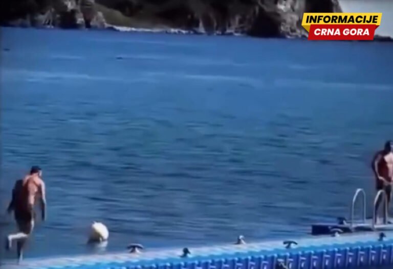 Gracioznost i vještina polijetanja