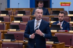 Bogdanović Sudskom savjetu: Ne pokušavajte da zamijenite teze