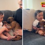 Prizor koji topi srca: Pas iz skloništa prvi put upoznao bebu