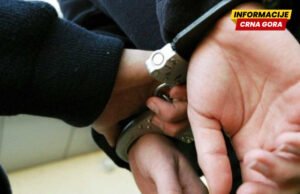 Po Interpolovim potjernicama uhapšene dvije osobe