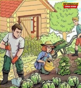 Tri skrivene riječi, jedan izazov