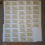 Majka i sin uhapšeni u Bijelom Polju: Osumnjičeni da su vratili pozajmicu falsifikovanim novcem