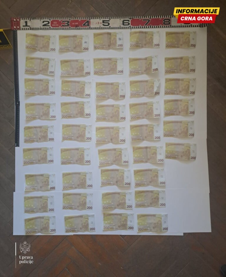 Majka i sin uhapšeni u Bijelom Polju: Osumnjičeni da su vratili pozajmicu falsifikovanim novcem