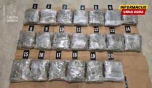 Over 156 kilos of drugs seized, number of environmental reports decreases