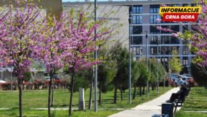 Kampus UCG: Pješačke staze, drvoredi i neformalni prostori jednako važni kao i učionice