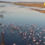 Poglavlje 27 u završnoj fazi, ali stručnjaci upozoravaju na nedostatak kapaciteta i komunikacije