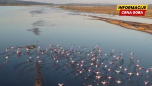 Poglavlje 27 u završnoj fazi, ali stručnjaci upozoravaju na nedostatak kapaciteta i komunikacije