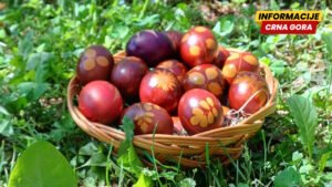 Danas je Vaskrs, praznik vaskrsenja Isusa Hrista