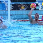 “Ajkule” srušile Francusku i čekirale kartu za Sindej