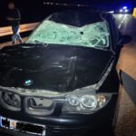 Automobil naletio na govedo na putu CT-BD, povrijeđena jedna osoba