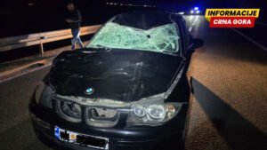 Automobil naletio na govedo na putu CT-BD, povrijeđena jedna osoba