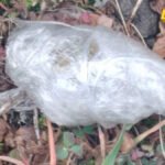 Krivične prijave protiv tri maloljetnika iz Podgorice: Iz vozila izbacili marihuanu