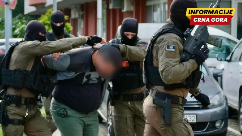 Filipovićeva firma primala pošiljke iz Južne Amerike, imala milionski obrt