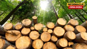 Šuma propada, a pelet triput skuplji od realne cijene