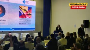 Iskoristiti pune potencijale saradnje BiH i Crne Gore