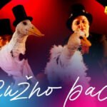 “Ružno pače” u subotu u KIC-u Budo Tomović